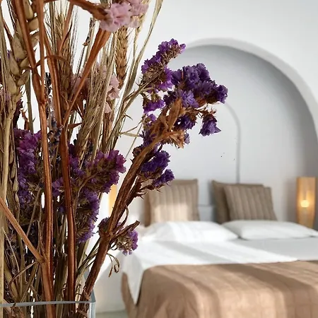 Ninemia Suites & Open Air Kionia