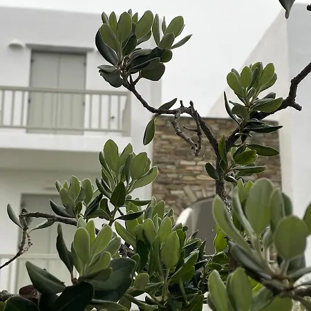 호텔 Ninemia Suites & Open Air 키오니아